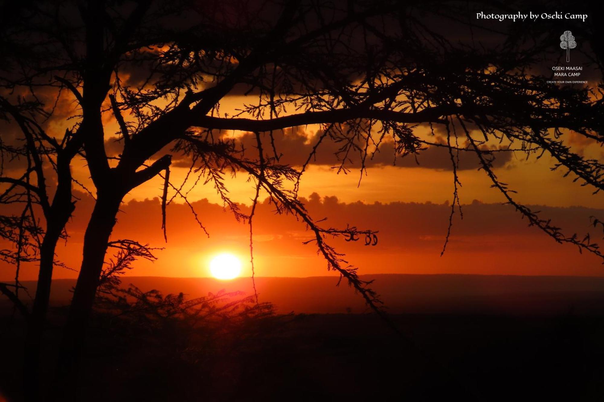 Oseki Maasai Mara Camp Hotel Narok Екстериор снимка