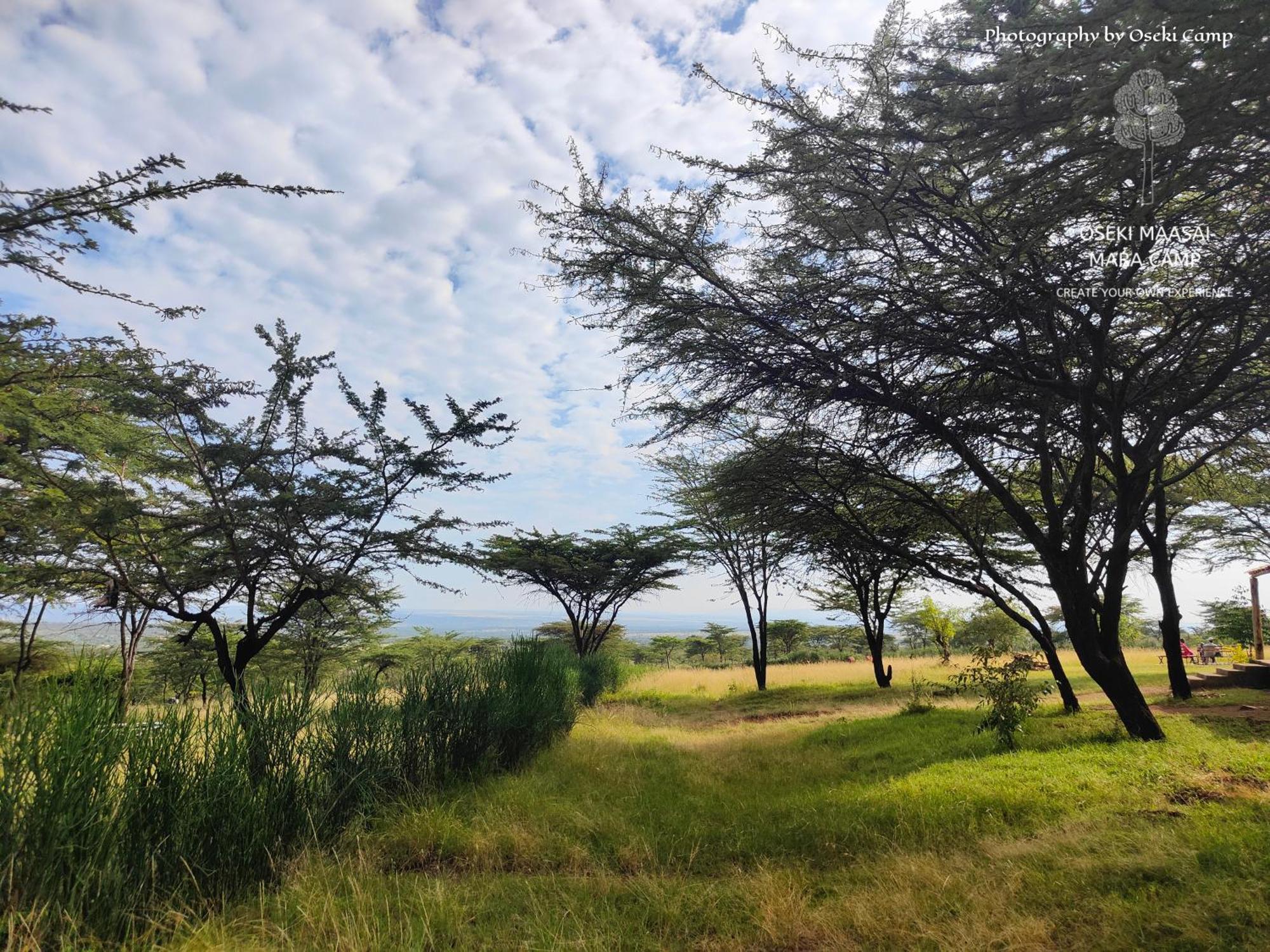 Oseki Maasai Mara Camp Hotel Narok Екстериор снимка